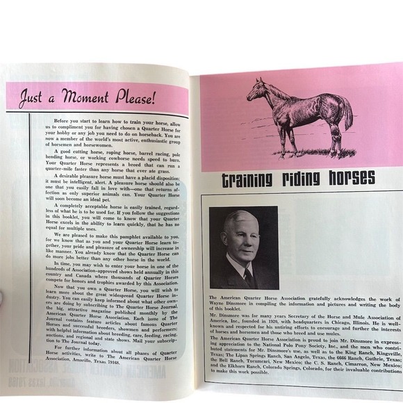 Training Riding Horses by American Quarter Horse Association Paperback Guide - Picture 4 of 7